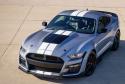 福特Mustang谢尔比GT500售价一万美元的手绘赛车条纹备受追崇