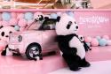 微型电动车“新势力” 吉利熊猫mini实车亮相 有望近期上市