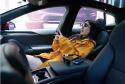 Tesla×Rokid：车载+AR引领智能座舱娱乐新潮流
