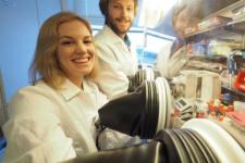 挪威科技大学开发新型电解质 用于制造更好的锂离子电池