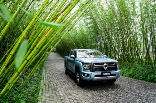 平箱销量第一 10万元级皮卡就选金刚炮！