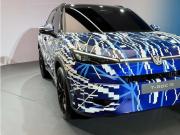 大众下一代高性能R车型抢先看