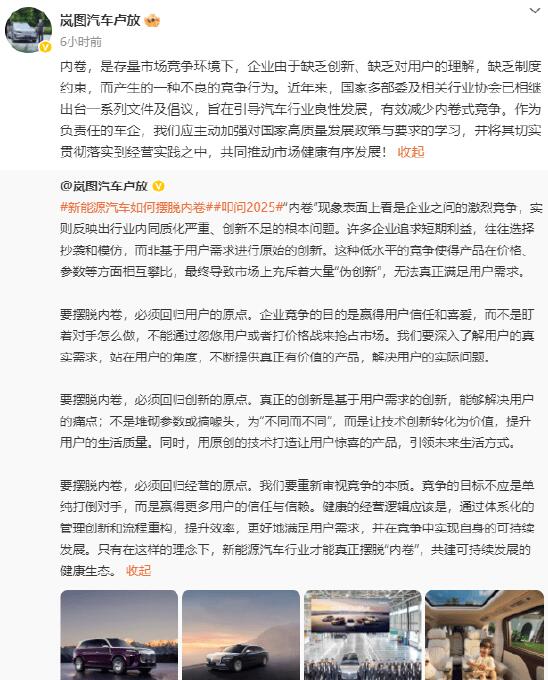 岚图卢放谈新能源汽车内卷:企业缺乏创新和约束产生的不良竞争行为