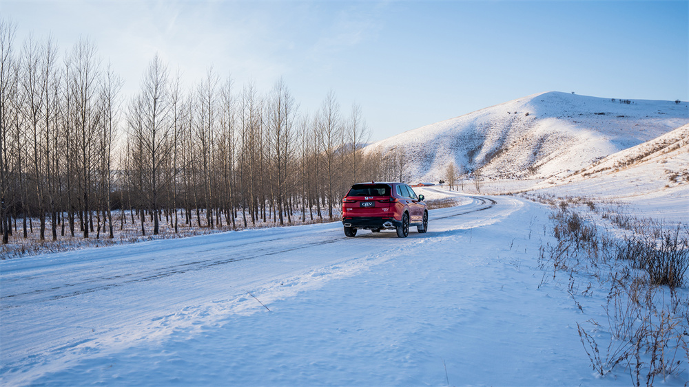 SSDON圣盾：双重守护，双节精彩！