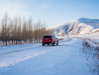 SSDON圣盾：双重守护，双节精彩！